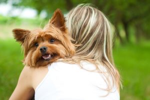 本当に大好きな飼い主に対して犬が行う8つの仕草