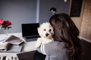 ペットは若返りの秘訣?