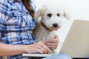 なぜワンちゃんは飼い主のあとをついてくるの?
