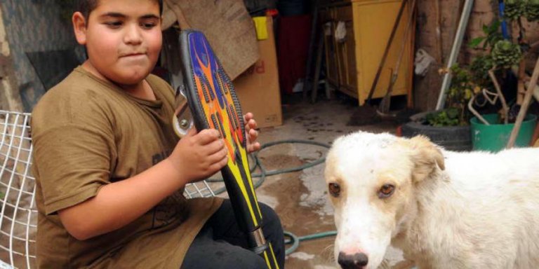 スケボーを持った少年と犬
