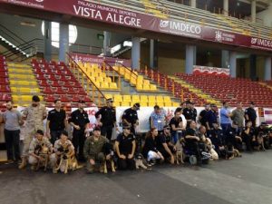 引退した警察犬の引き取りを考えなければいけない理由