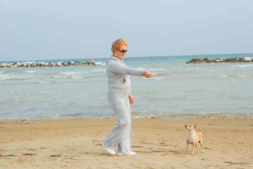 浜辺で散歩する犬 股の匂いを嗅ぐ