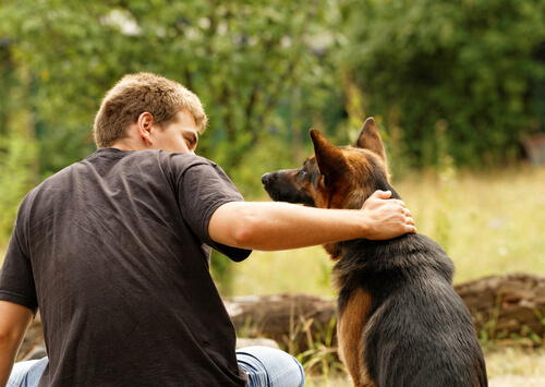 良いことをしたら褒めておとなしい犬に育てましょう
