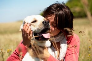 犬はハグが嫌いって知ってました?