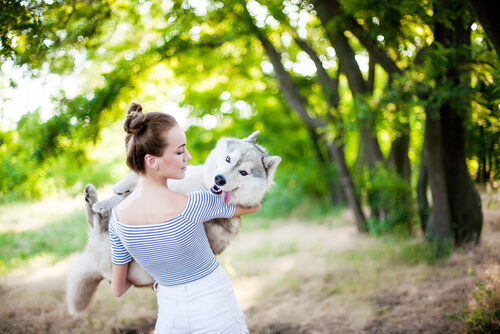 抱えられている犬 寝ている