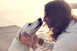 犬をキスすることによってかかる厄介な感染症