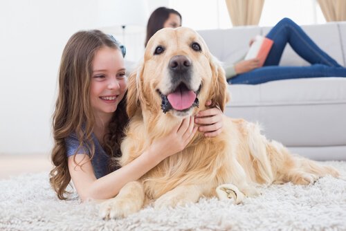 子どもと犬