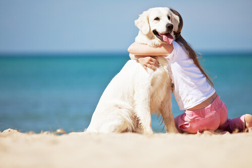 犬とハグ 人間の感情を読みとる犬