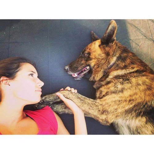 飼い主と一緒に寝る犬