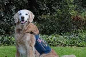 9.11アメリカ同時多発テロの最後のレスキュー犬とお別れ