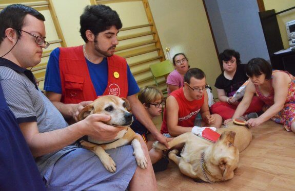 ダウン症の子供たちのための子犬セラピー