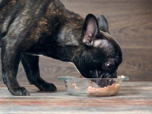 犬にとって有害な食べ物とは?