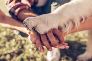 愛犬に愛情を伝える5つの方法