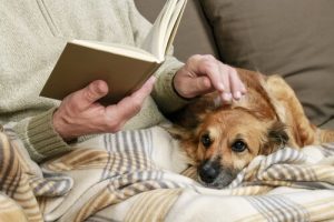 高齢者が犬を飼うメリットとは?