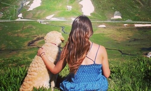 飼い主に寄り添う犬