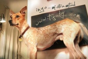 犬のことを歌った美しい曲のお話