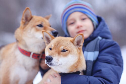 子どもと犬