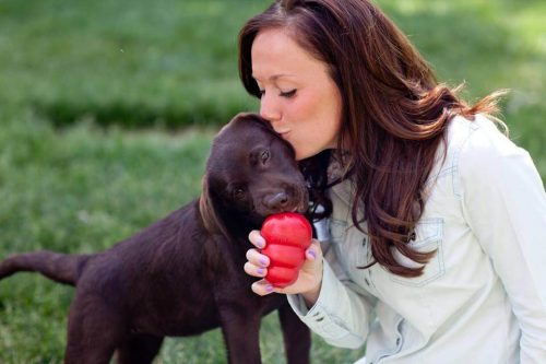 コング で遊ぶ犬と飼い主