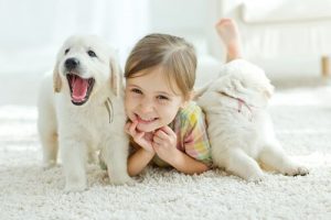 ペットと暮らす赤ちゃんが元気な理由