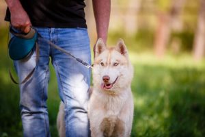 ペットにとって最高の飼い主となるために