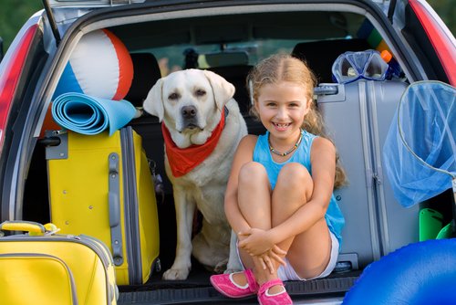 犬との旅行 里親になる