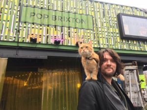 ジェームズ・ボウェンと野良猫ボブのお話