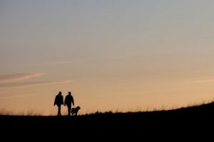 旅行先で迷子になった犬のボブ