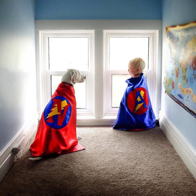 虐待を受けた犬 赤ちゃん