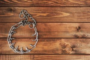 違法とされている犬のしつけ用首輪とは?