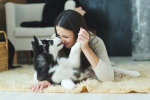 犬は人間の感情を理解できているの?その証拠は?