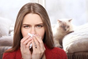 ツラい猫アレルギー:どうやって対処する?