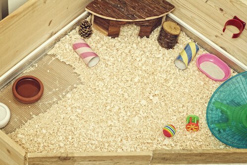 モルモットの家 モルモット 快適 家づくり