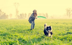 愛犬と楽しく遊ぶ!9つのアクティビティ
