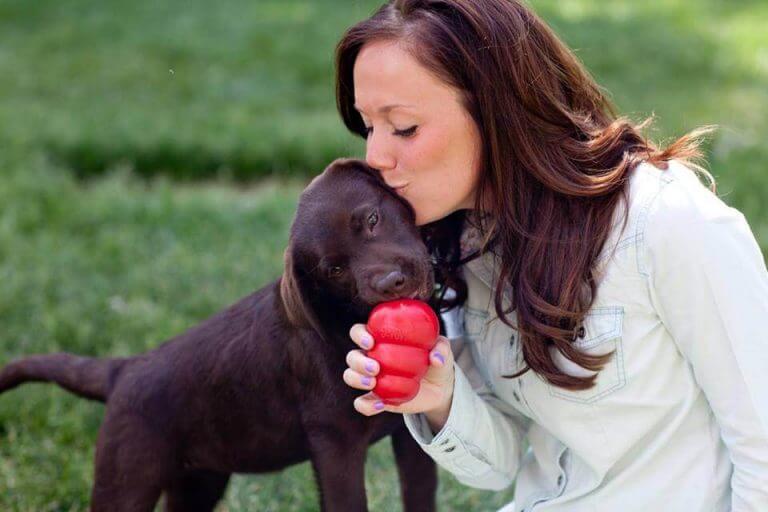 犬の知能を上げるおもちゃ 犬 知能 高める 方法