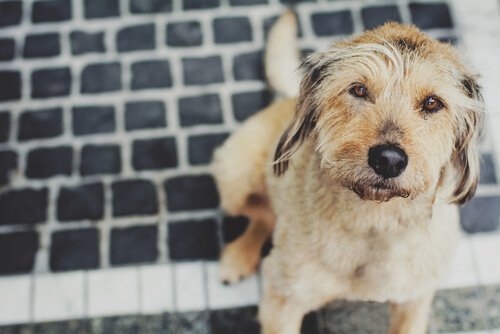 インフルエンザの予防法