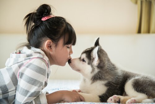 まだ家を出られない子犬