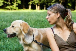 愛犬が振り向いてくれない?これを試してみてください!