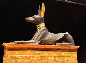 古代文明における犬の役割とは?