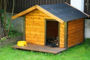 屋外で飼うペットと室内で飼うペット:犬小屋は?
