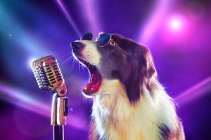 いくつ知ってる?犬に関する8つの曲を見てみよう