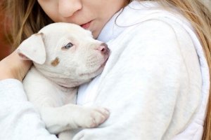 テンプル・グランディン女史についてご存知ですか?
