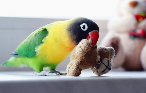 動物の引き取りには経済状況もチェック 動物を引き取る 必要なこと