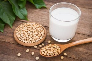 植物由来のミルクを与えてみよう:毎日の牛乳の代わりに!