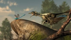 鳥の起源はどこまで明らかになっているのだろう?