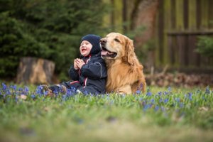 子どもと相性が良い犬種とは?選び方を見てみよう!