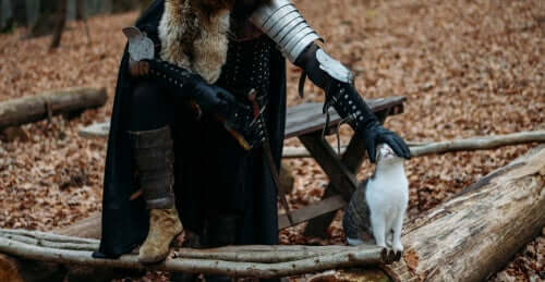 中世の猫 猫 歴史