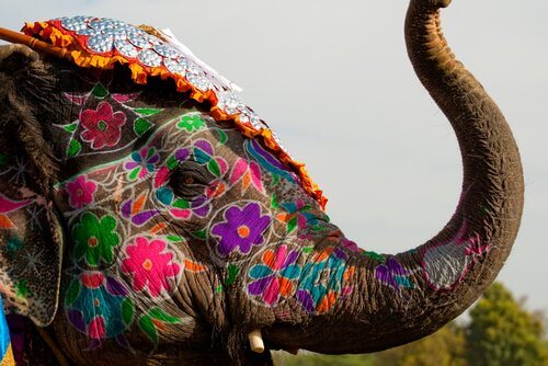 世界で神聖な存在だとされている動物について学ぼう