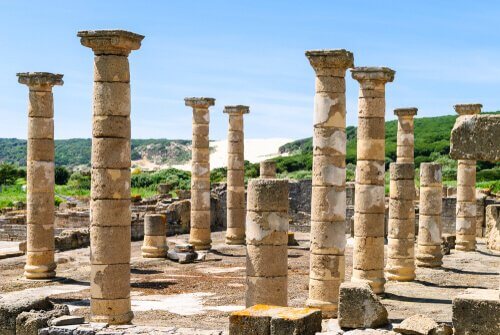 ローマ遺跡 絶滅 クジラ