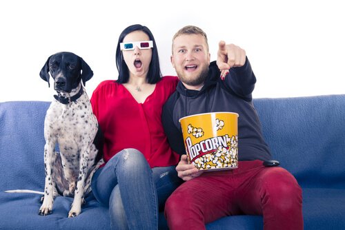 犬好きは必見！愛犬と一緒に観たい映画を見てみよう！