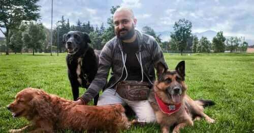 諦めないで！攻撃的な犬でもしつけのやり直しは可能！